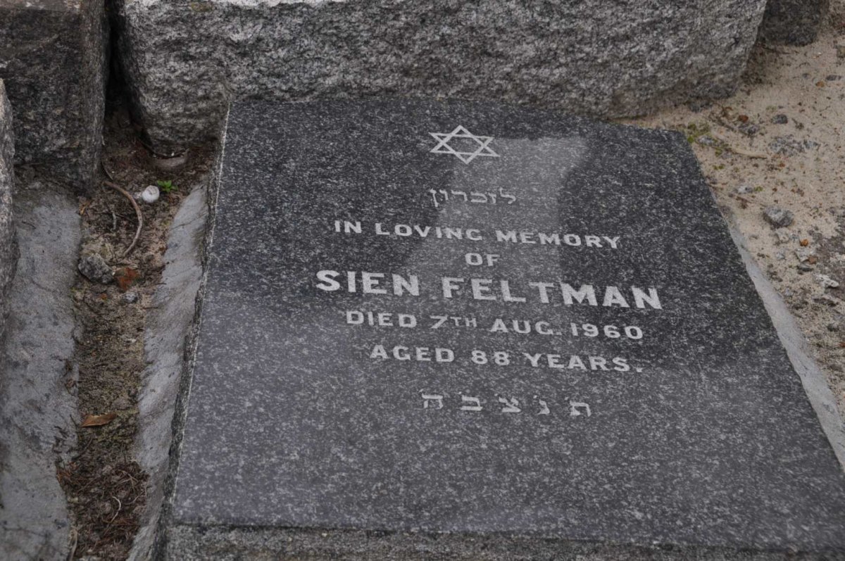 FELTMAN Sien -1960