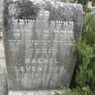 LEVINTOSH Rachel -1940