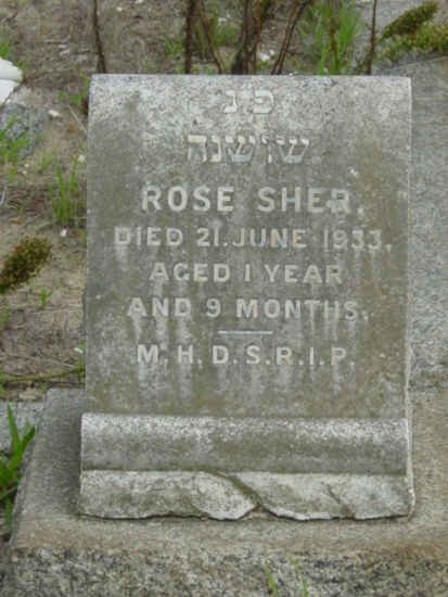 SHER Rose -1933