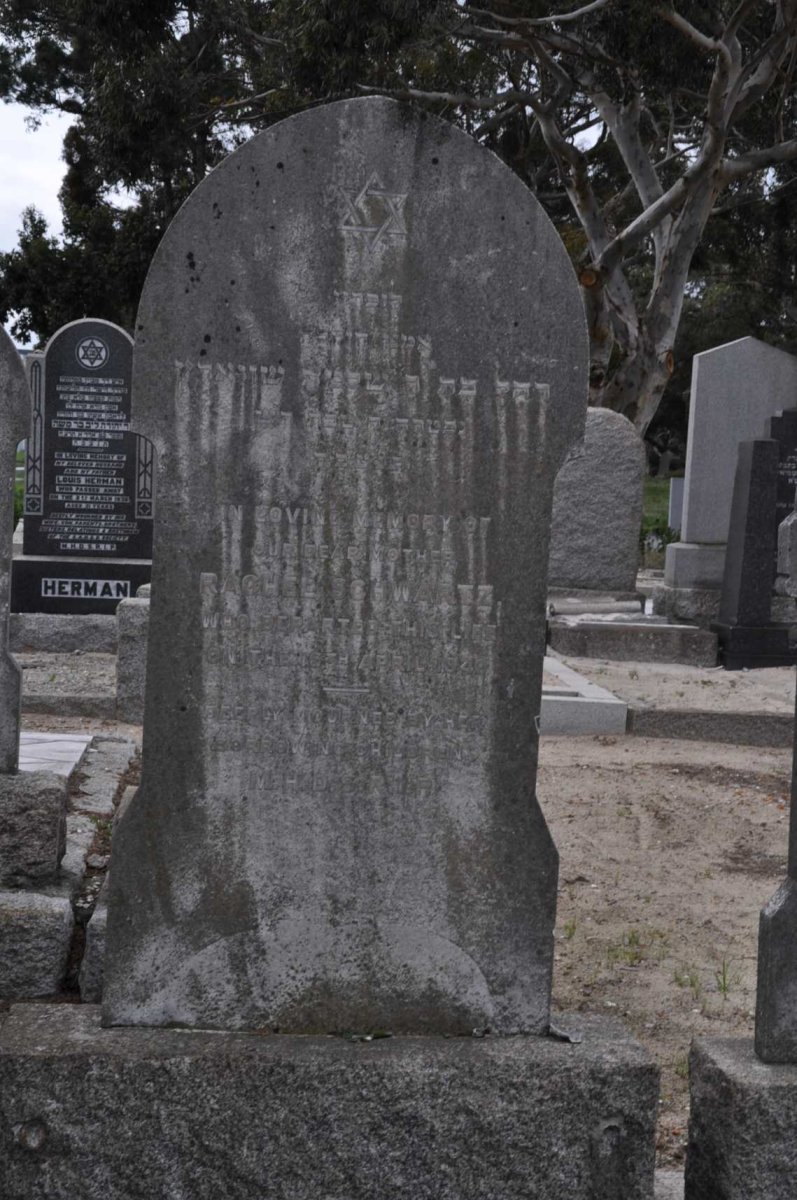 SCHWARTZ Rachel -194?