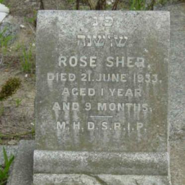 SHER Rose -1933