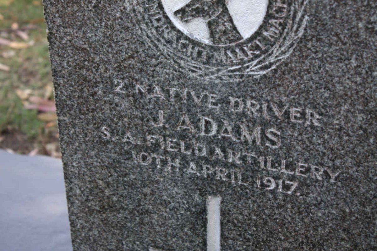ADAMS J. -1917