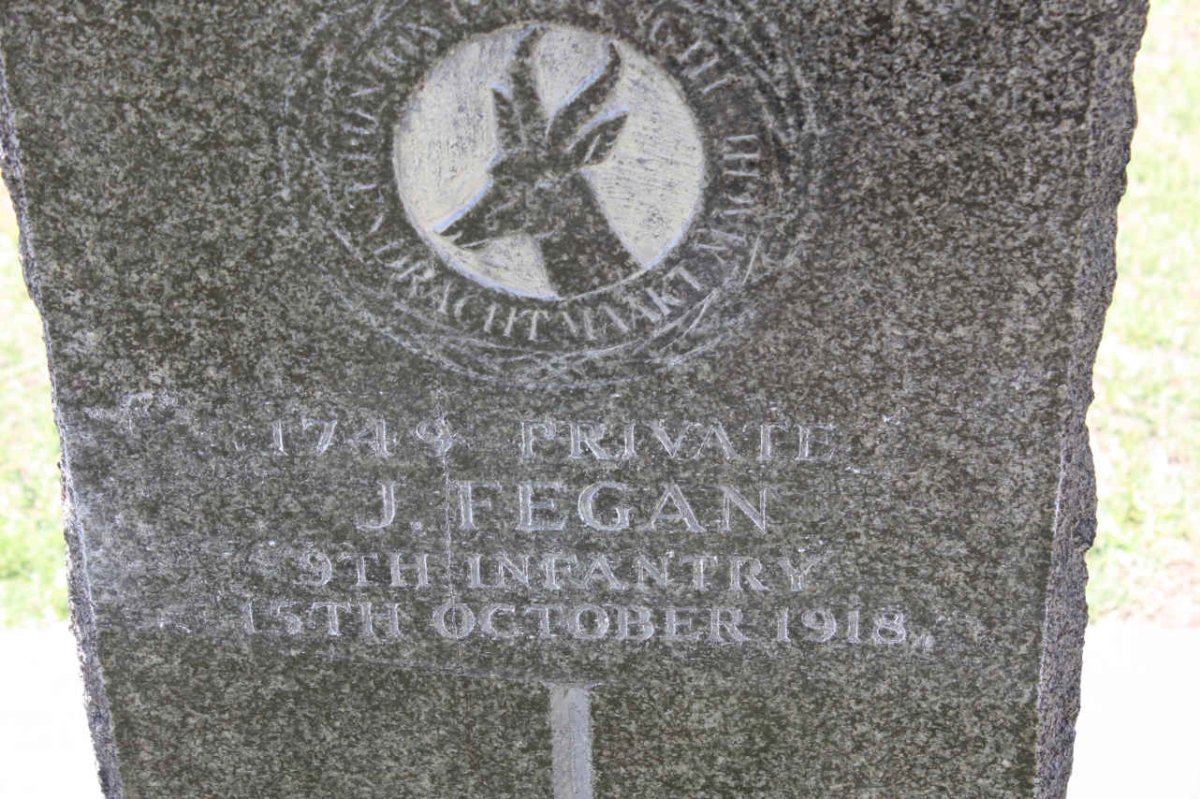 FEGAN J. -1918