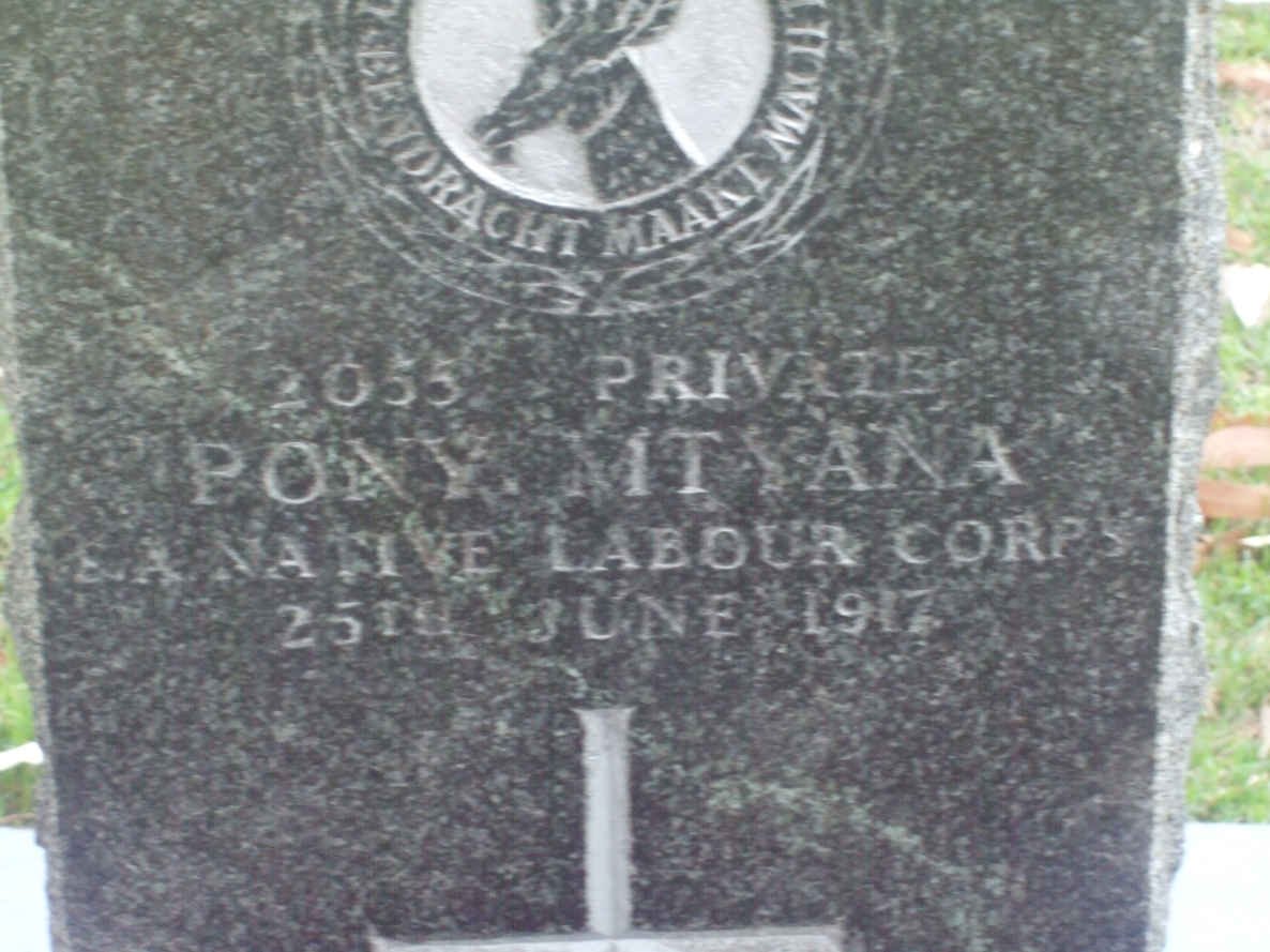 MTYANA Pony −1917