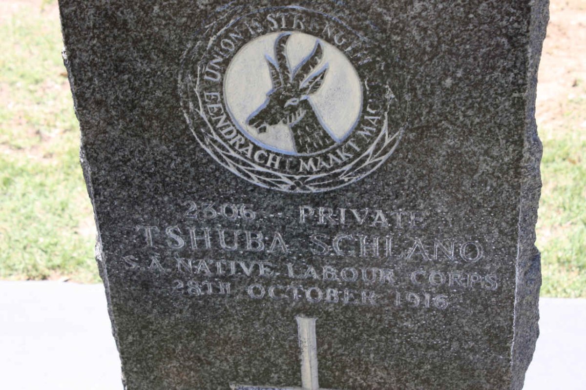 SCHLANO Tshuba -1916