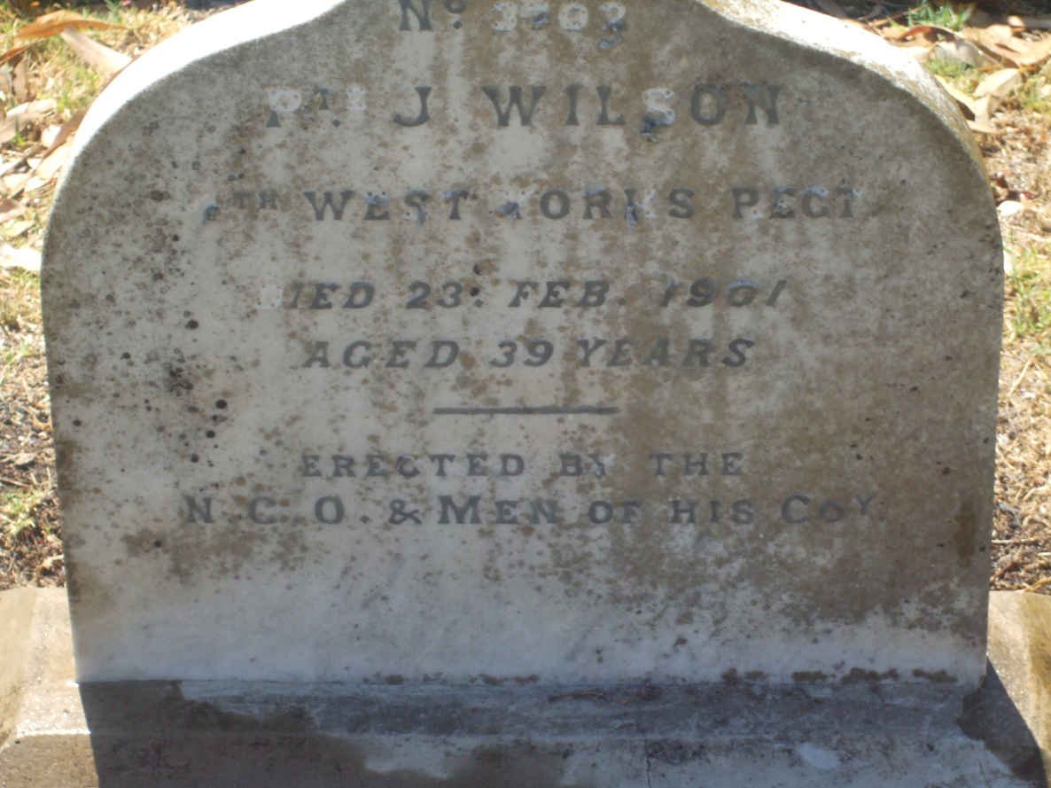 WILSON J. -1901