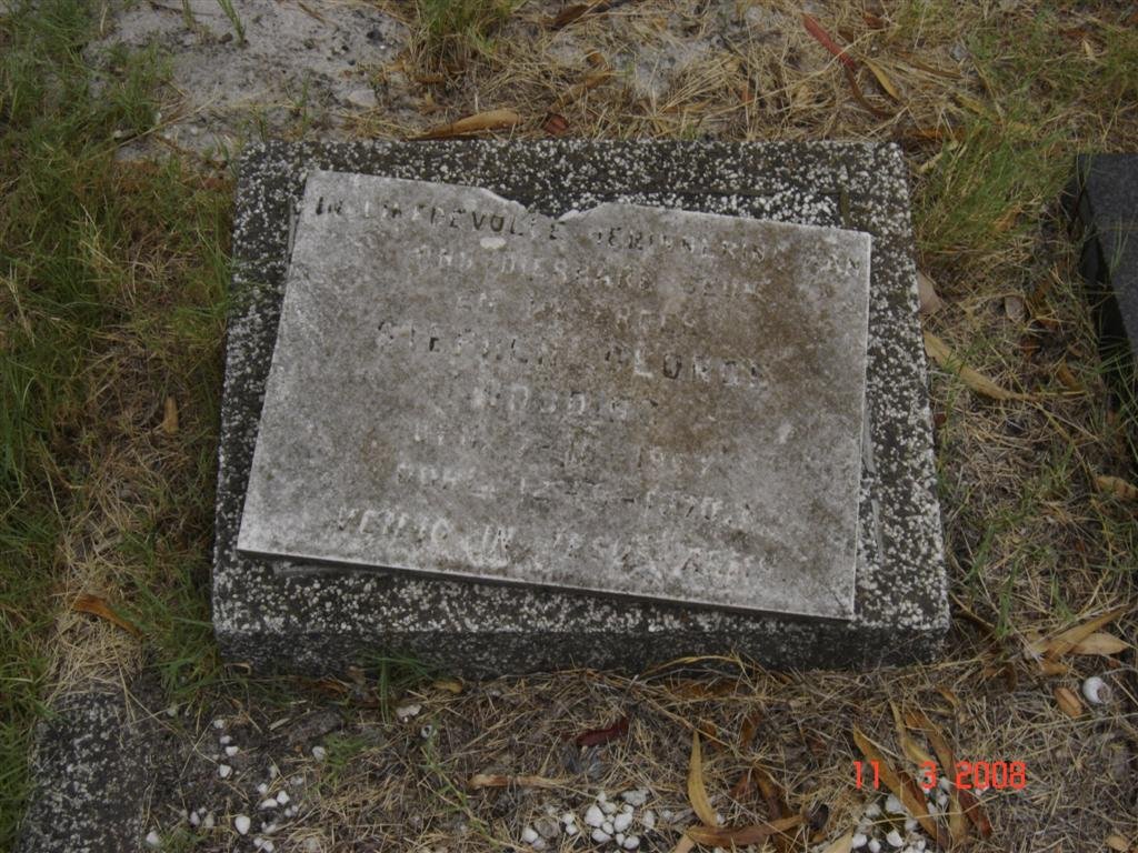 ? Stephanus Floris
