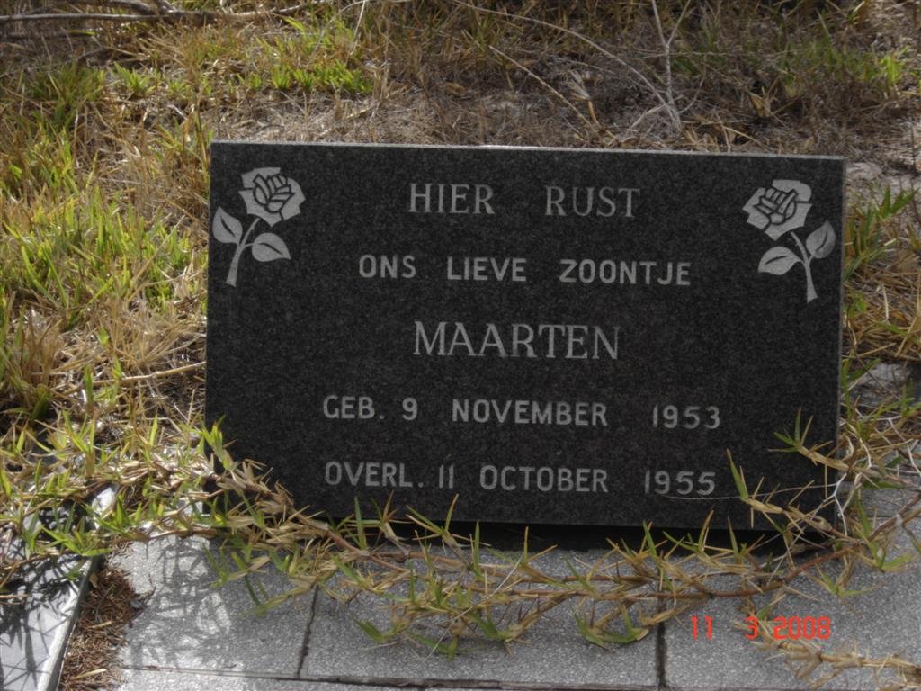 ? Maarten 1953-1955