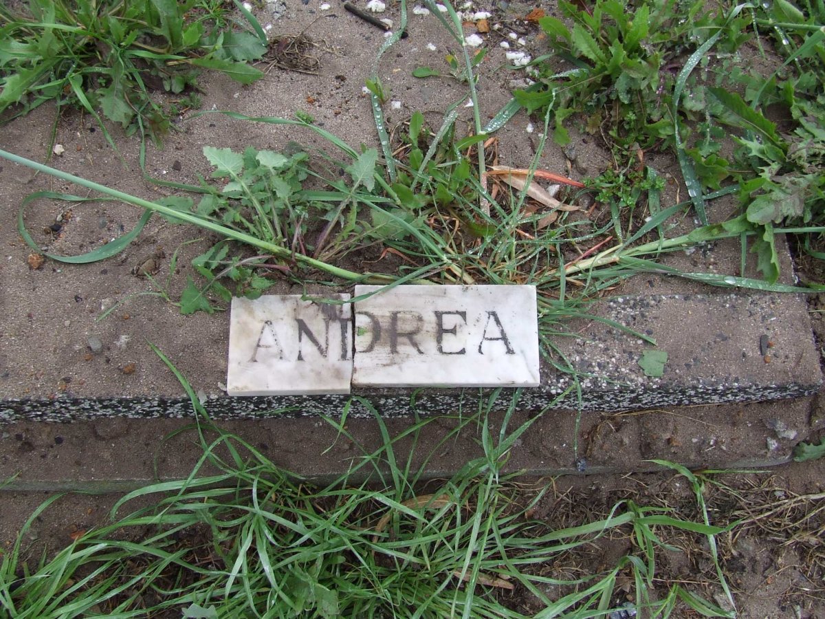 ANDREA