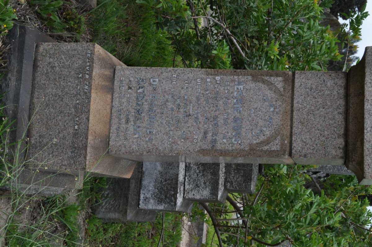 ANDERSON Charles 1885-1949 &amp; Jessie ROSS 1883-1920