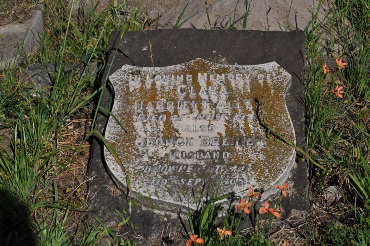 ALLEN George Brewer 1905 &amp; Clara Harriett -1925