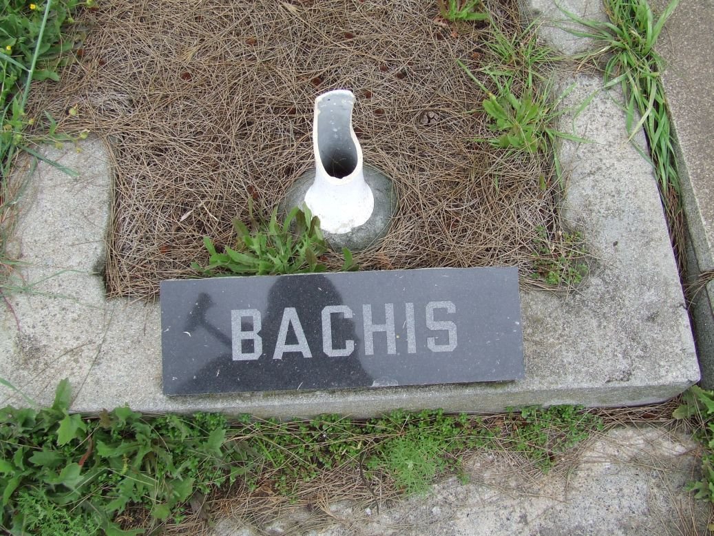 BACHIS
