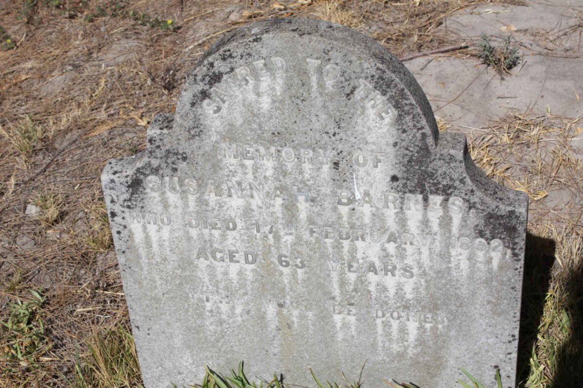 BARNES Susannah -1892
