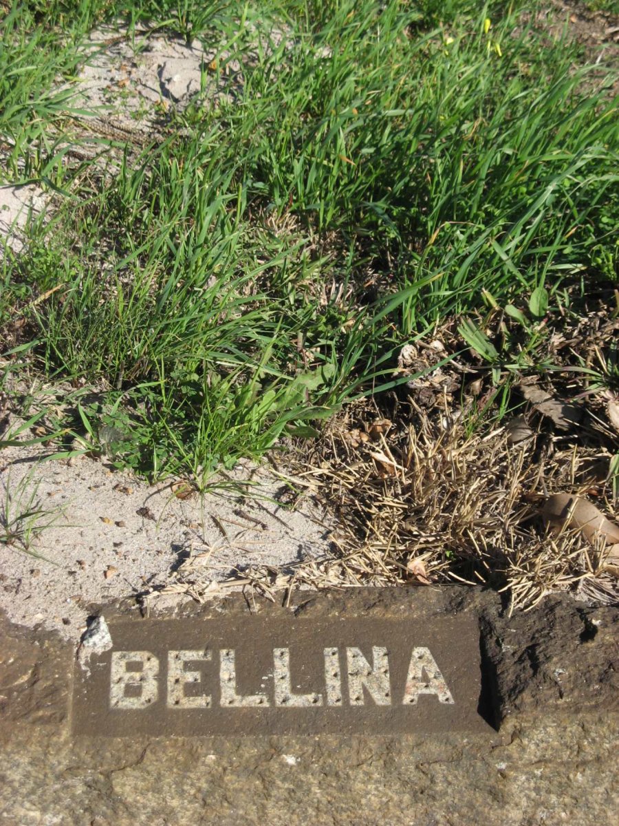 BELLINA 