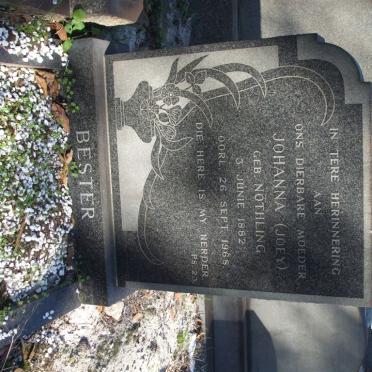 BESTER Johanna nee NOTHLING 1882-1968