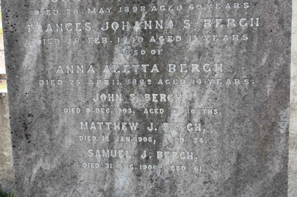 BERGH Frances Johanna S. -1900 :: BERGH Anna Aletta -1882 :: BERGH John S. -1903  