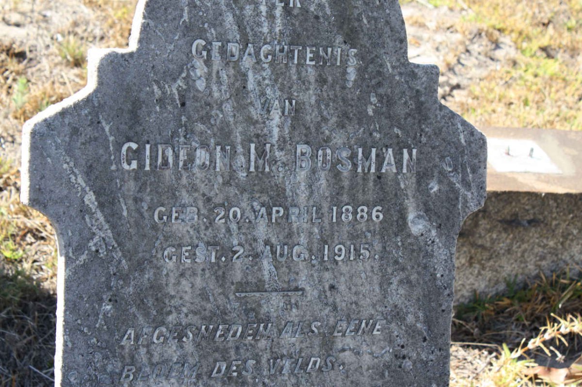 BOSMAN Gideon M. 1886-1915