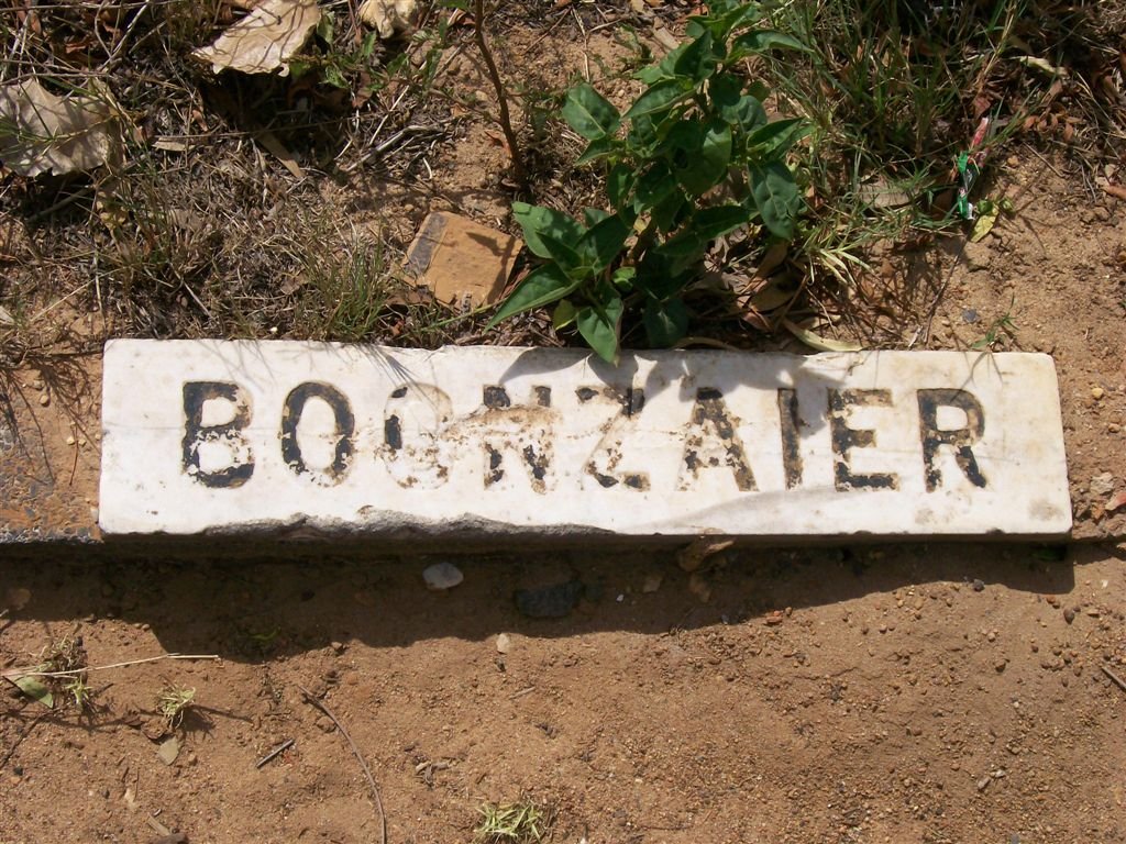 BOONZAIER