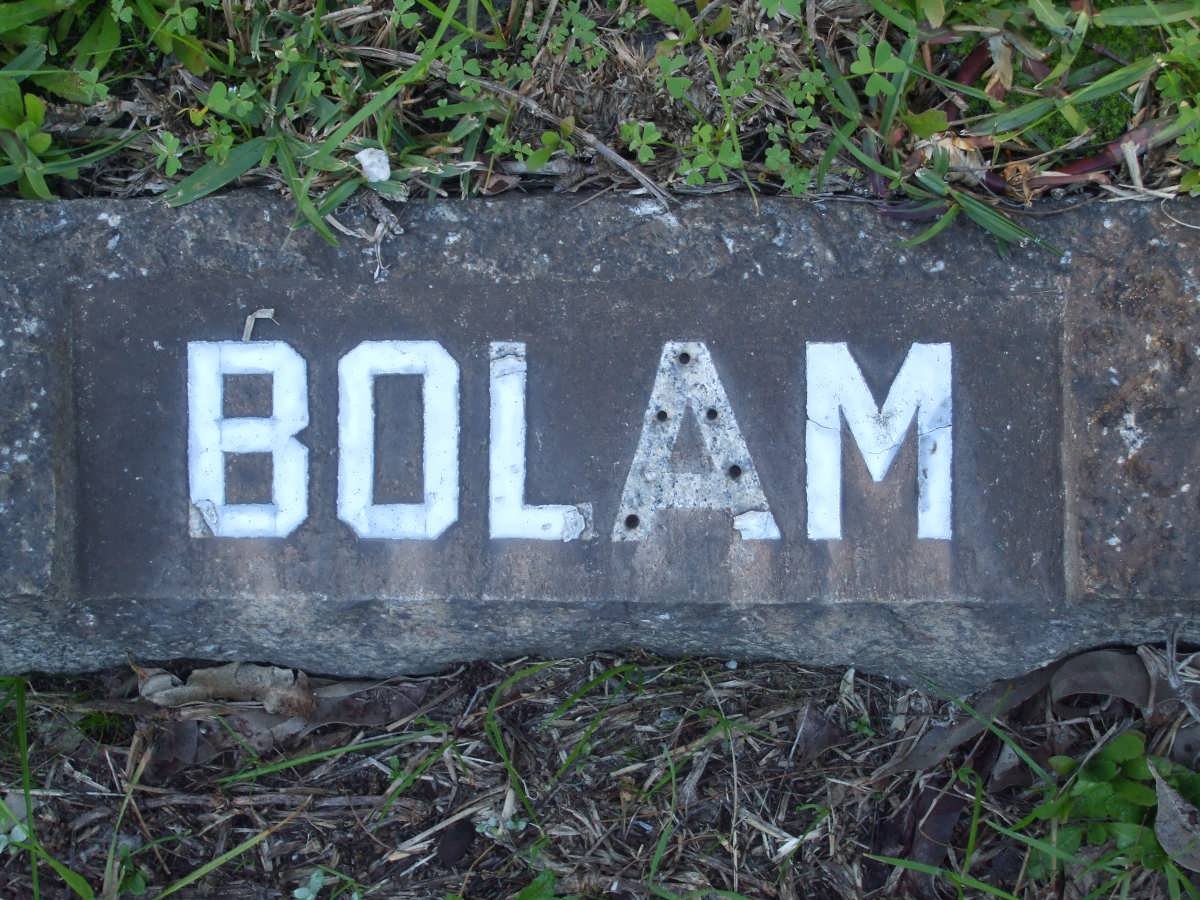 BOLAM