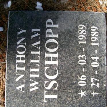 TSCHOPP Anthony William 1989 -1989