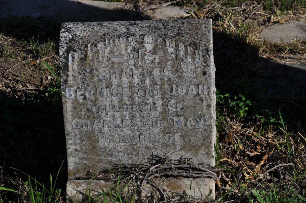 BREMRIDGE Charles :: BREMRIDGE Bernice :: BREMRIDGE Joan