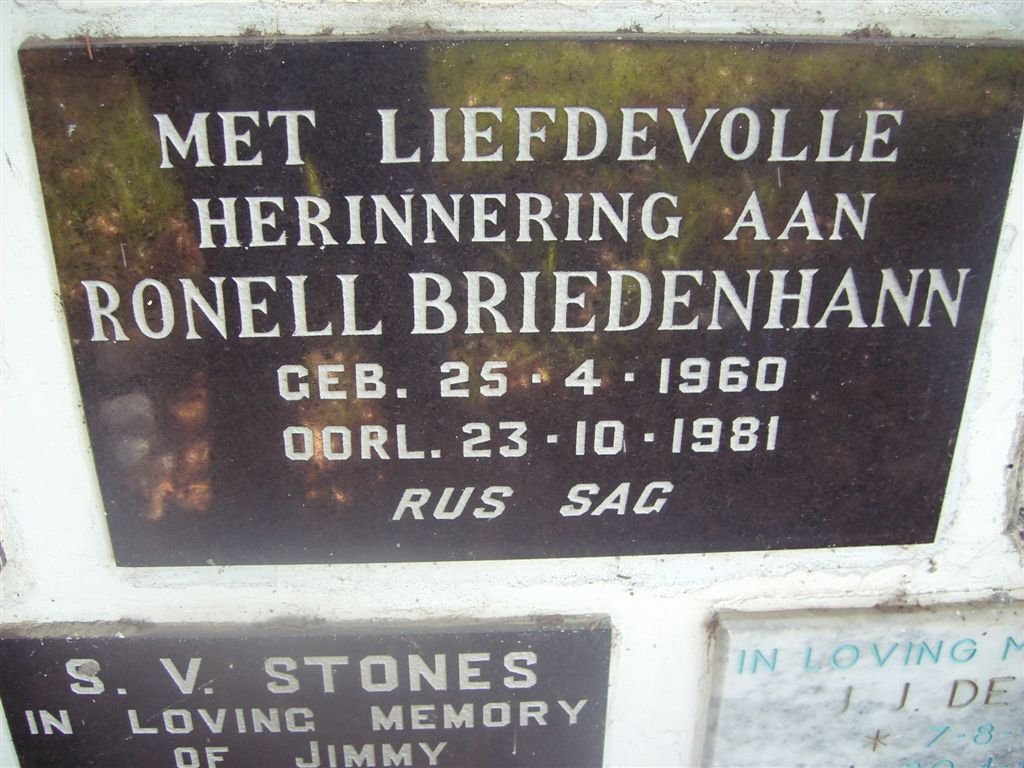 BRIEDENHANN Ronell 1960-1981