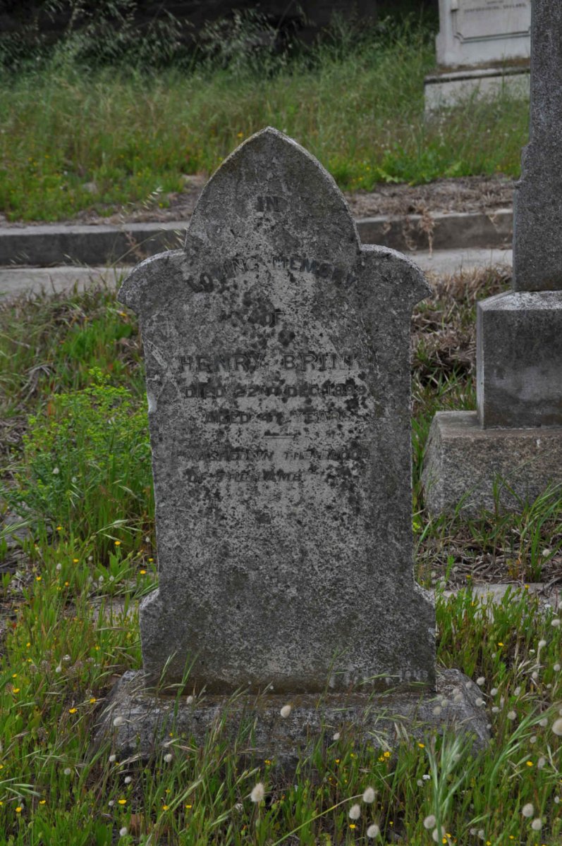 BRINK Henry -1899