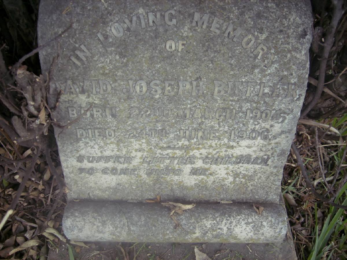 BUTLER David Joseph 1904-1906