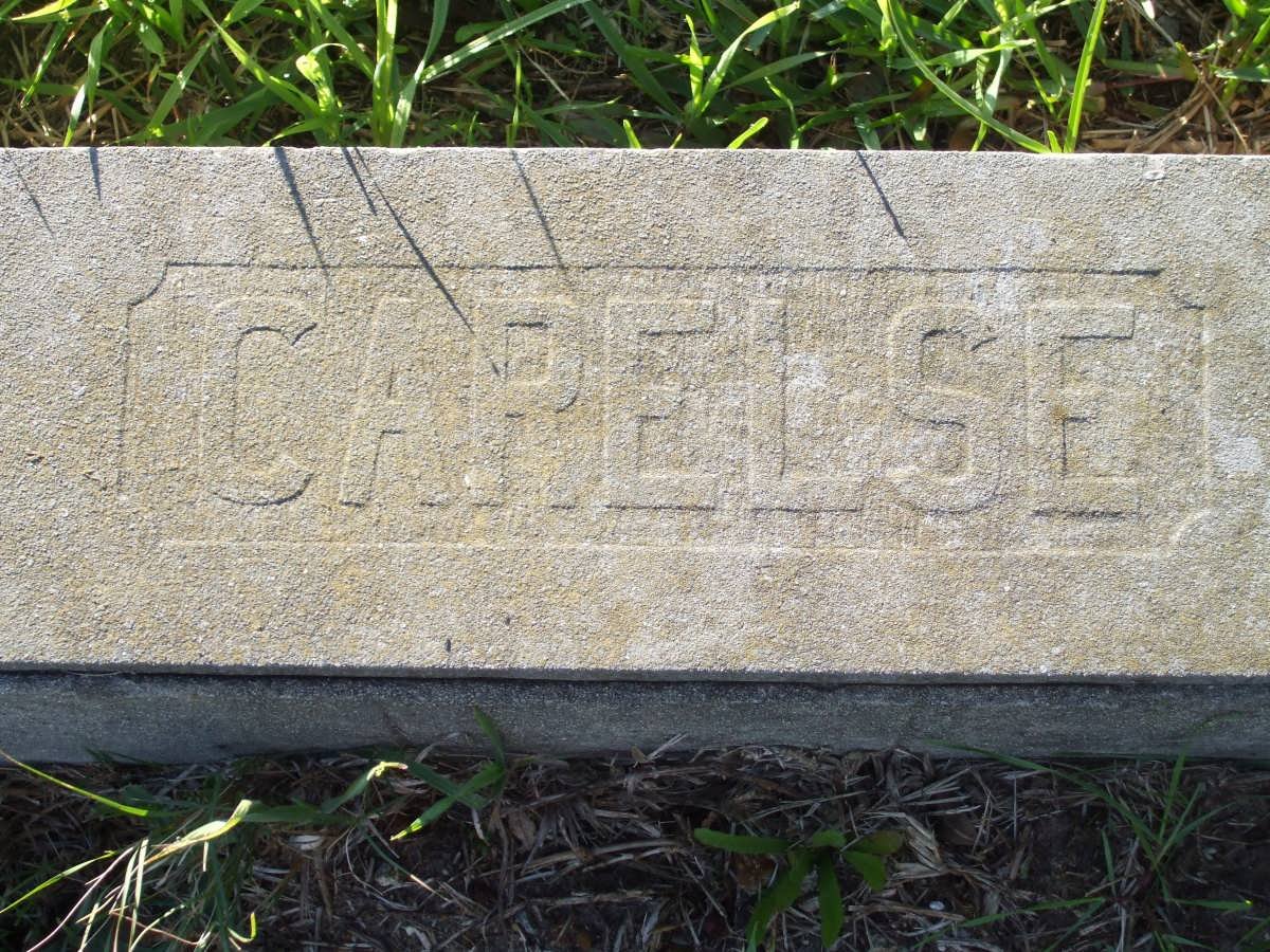 CARELSE