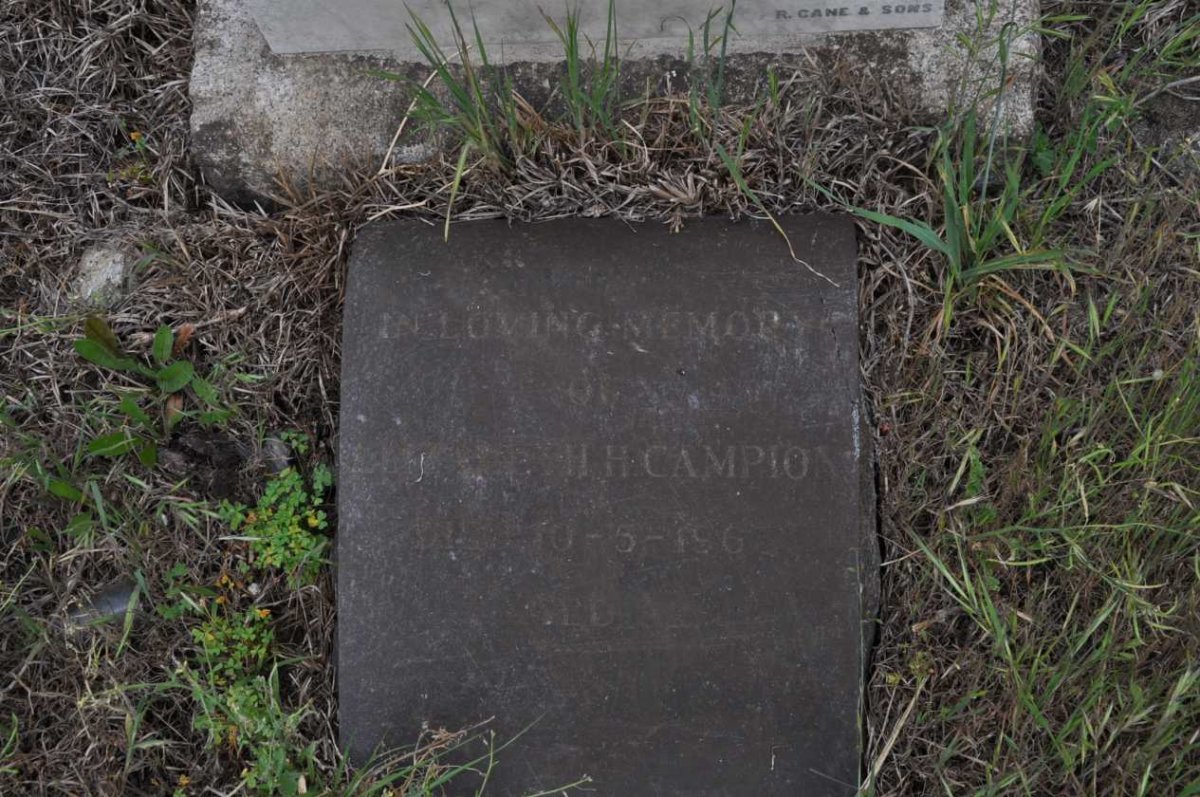 CAMPION ?.H. -196?