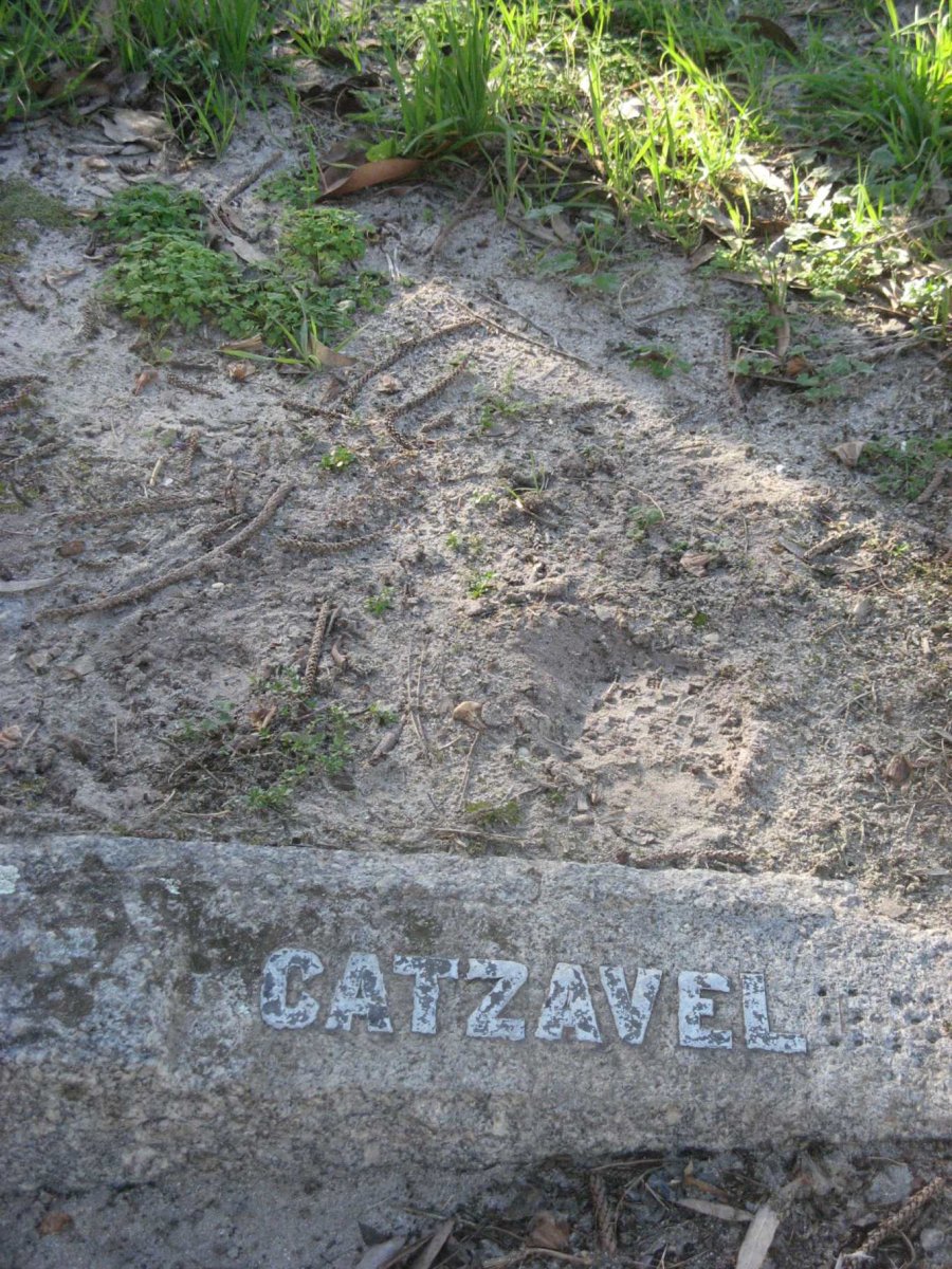 CATZAVELOS