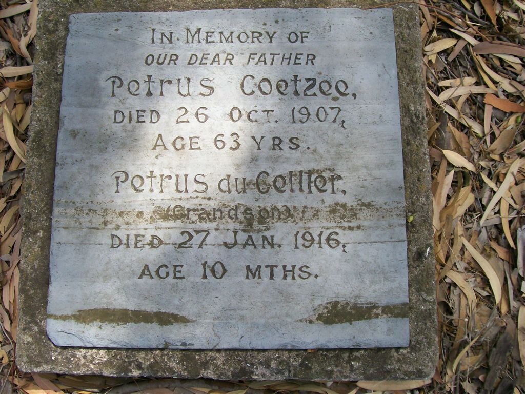 COETZEE Petrus -1907 :: DU CELLER  Petrus -1916