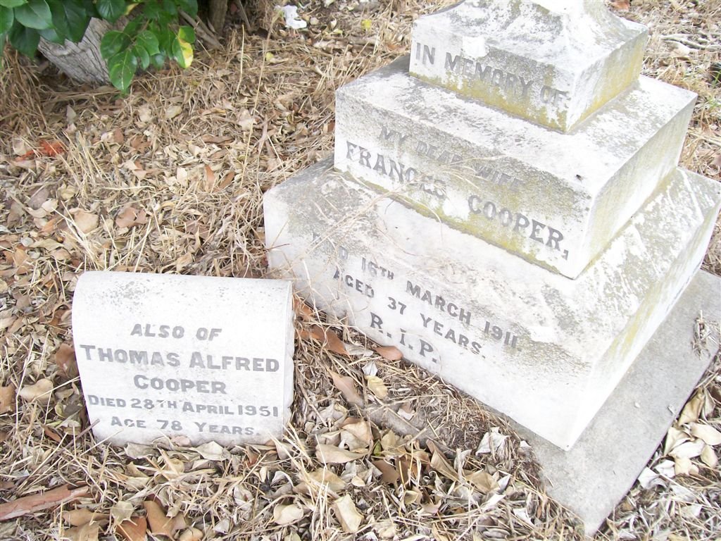 COOPER Frances -1911 :: COOPER Thomas Alfred  -1951