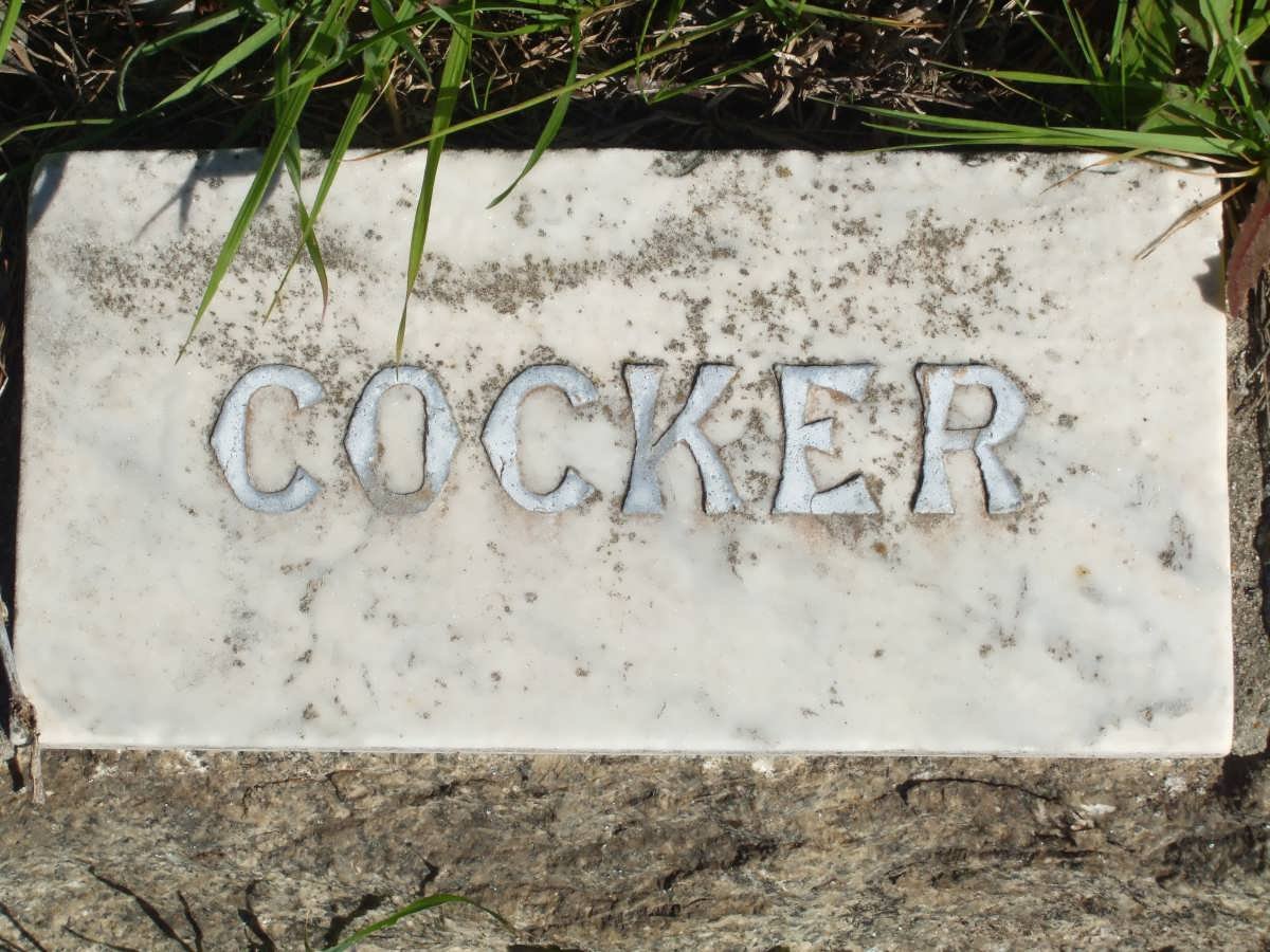 COCKER