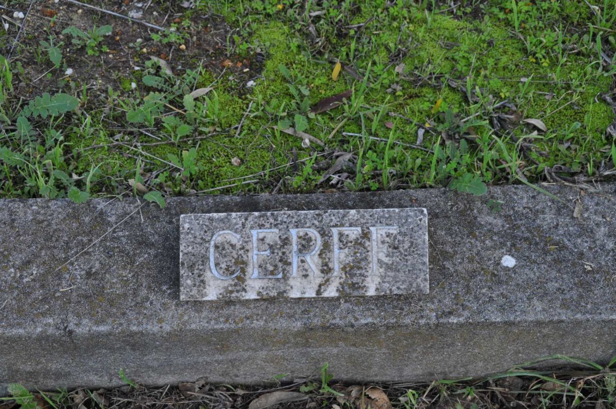 CERFF