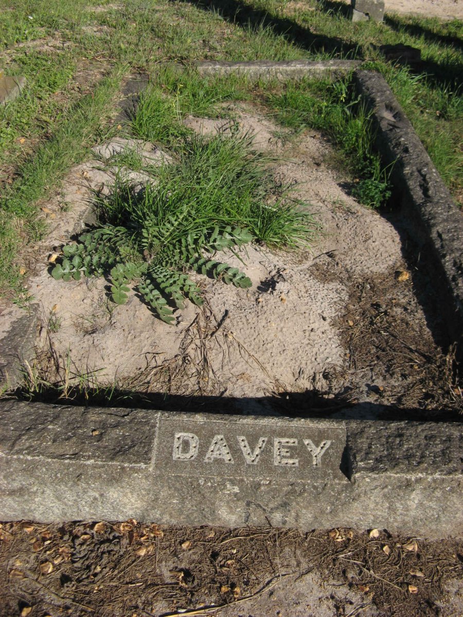 DAVEY