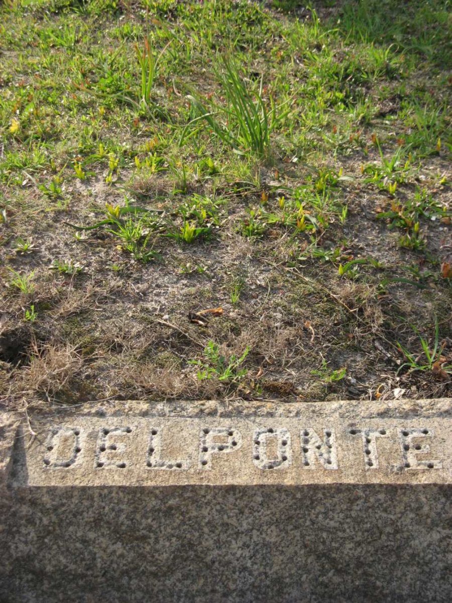 DELPONTE