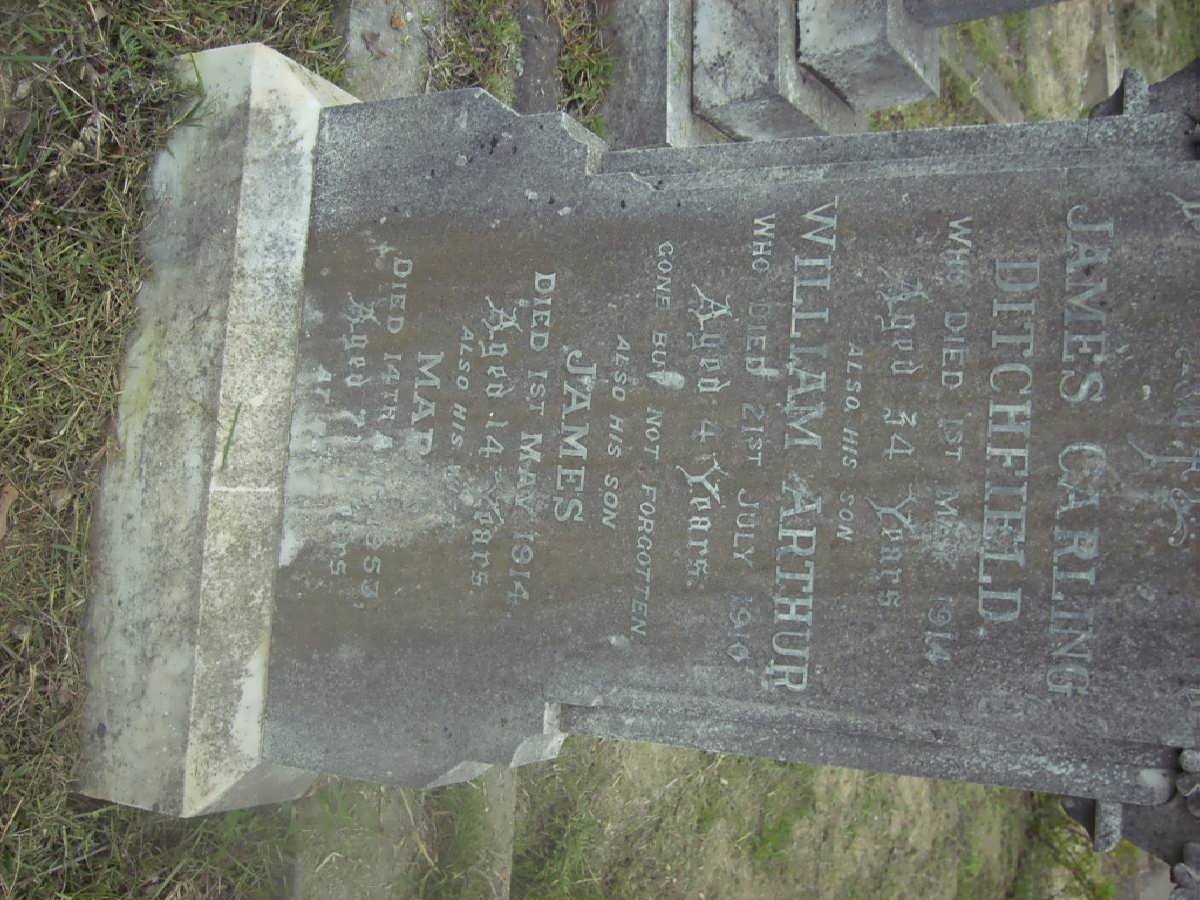 DITCHFIELD James Carling -1914 &amp; Maria -1953 :: DITCHFIELD William Arthur -1910 :: DITCHFIELD James -1915