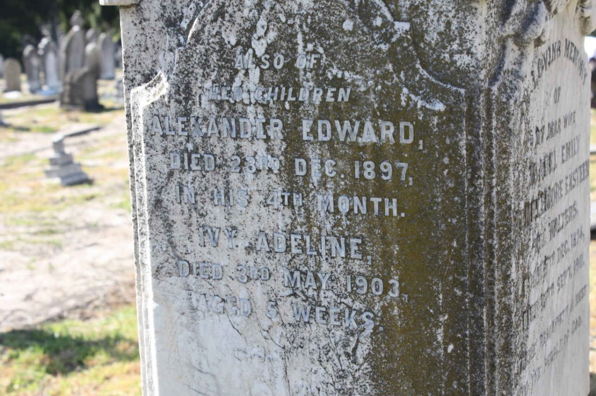 EKSTEEN Alexander Edward -1897 