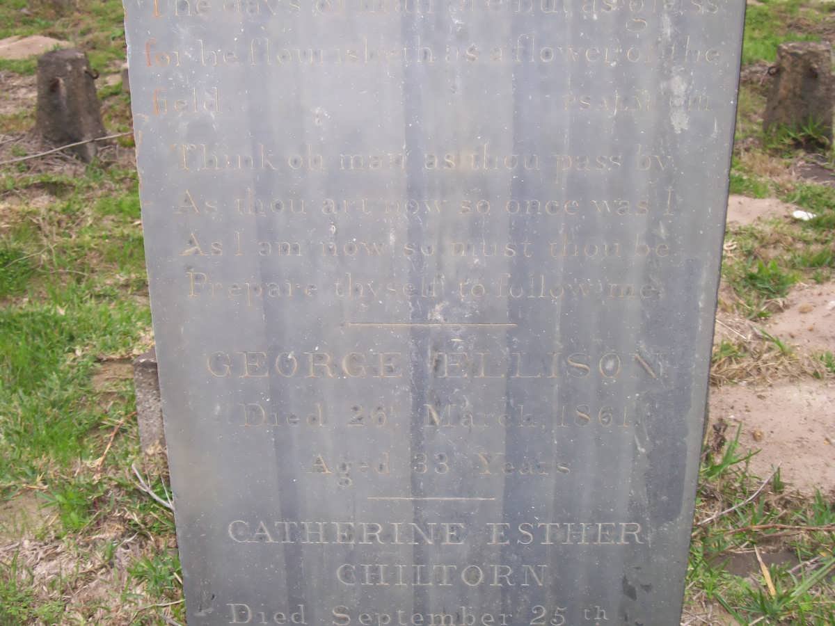 ELLISON George -1861 &amp; Catherine Esther CHILTORN -1874