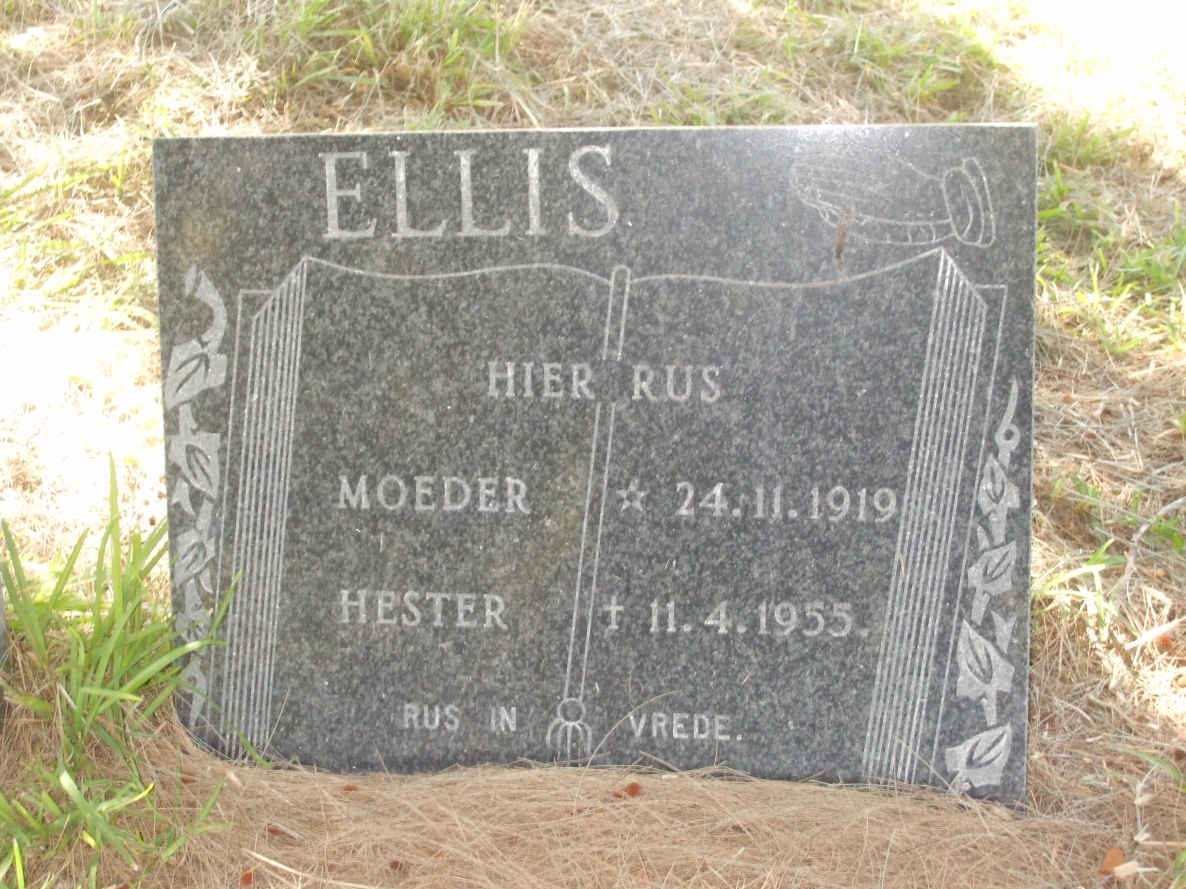 ELLIS Hester 1919-1955