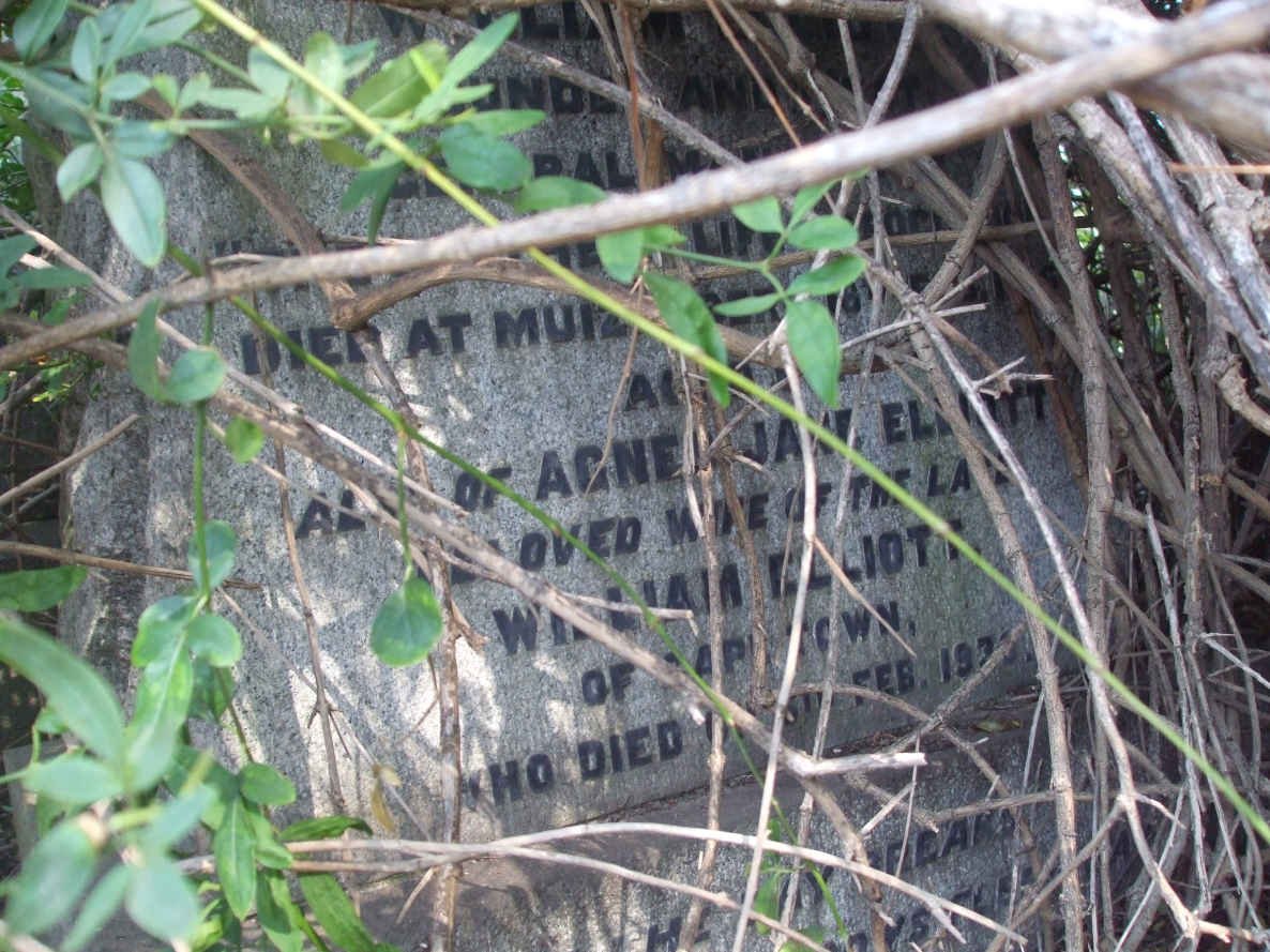 ELLIOTT William  -19?? &amp;  Agnes Jane -193?