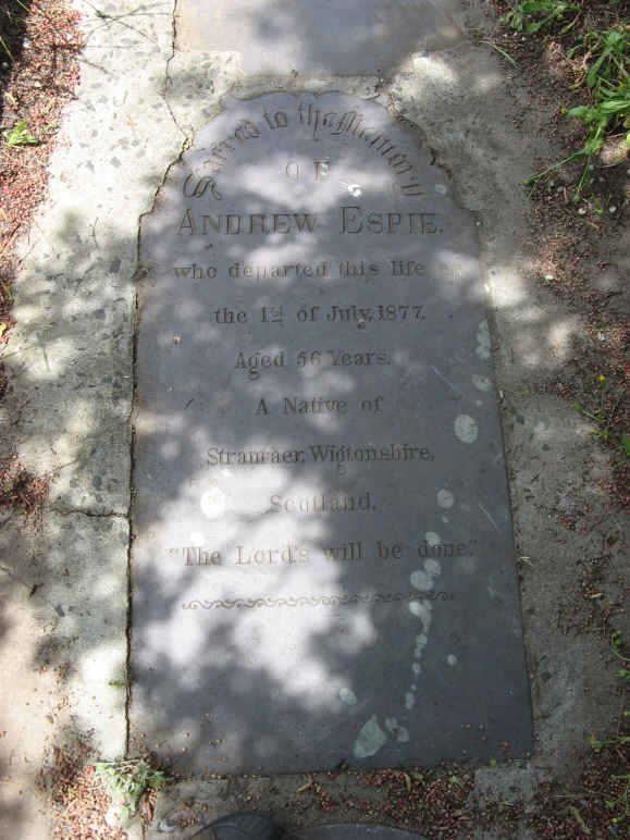 ESPIE Andrew -1877