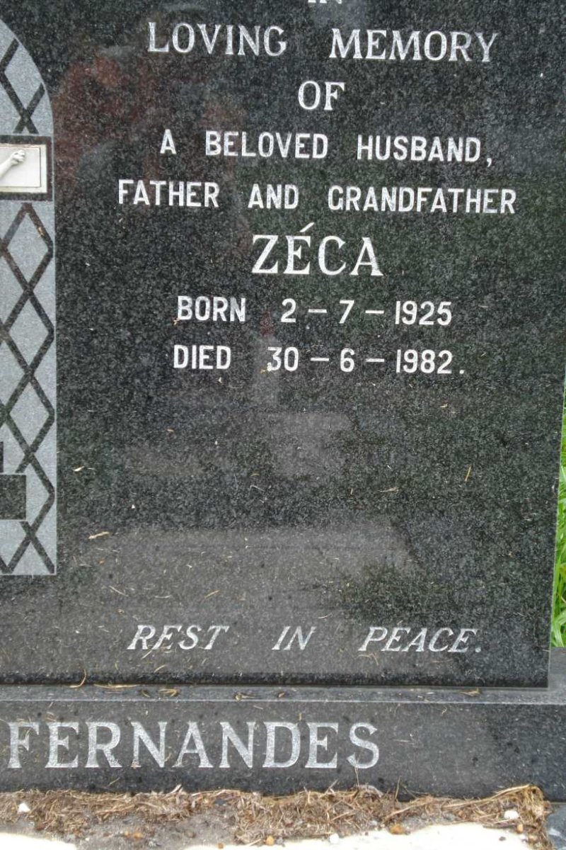 FERNANDES Zeca 1925-1982
