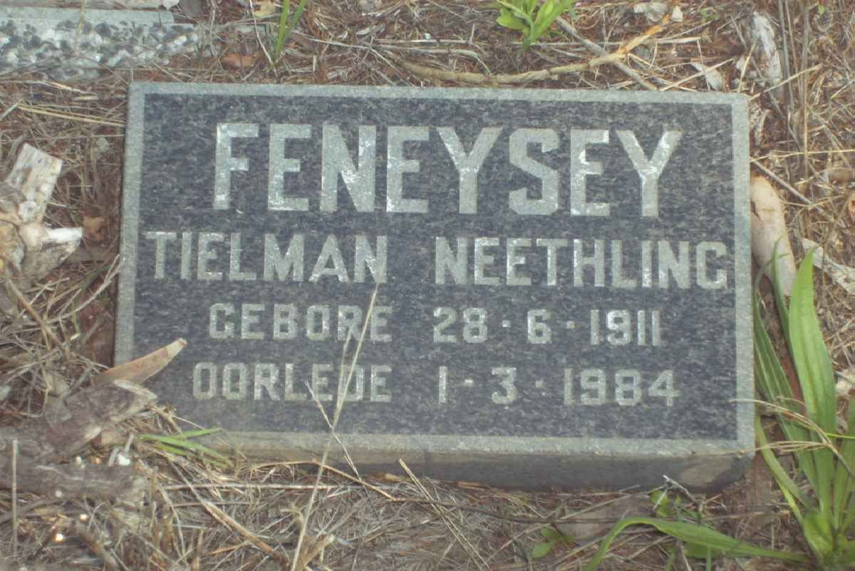 FENEYSEY Tielman Neethling 1911-1984