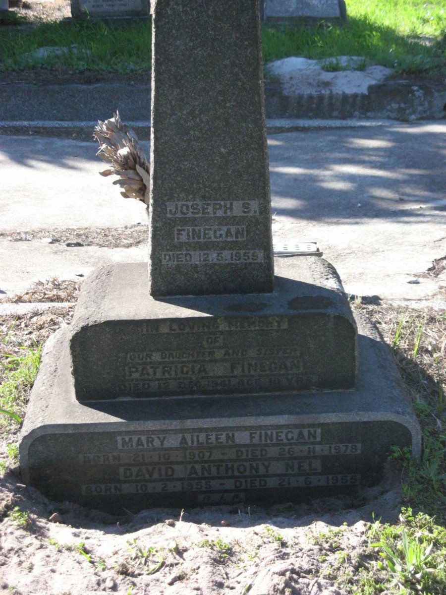 FINEGAN Joseph S. -1959 &amp; Mary Aileen 1907-1978 :: FINEGAN Patricia -1961 :: NEL David Anthony 1955-1955