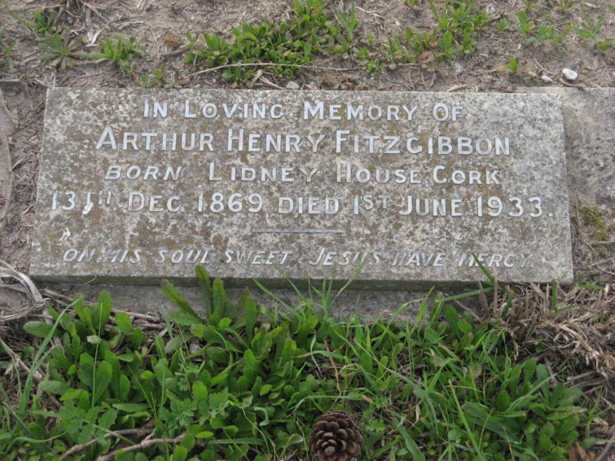 FITZGIBBON Arthur Henry 1869-1933
