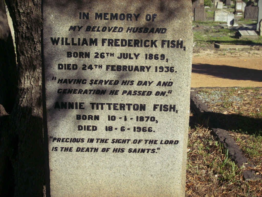 FISH :: NANNUCCI