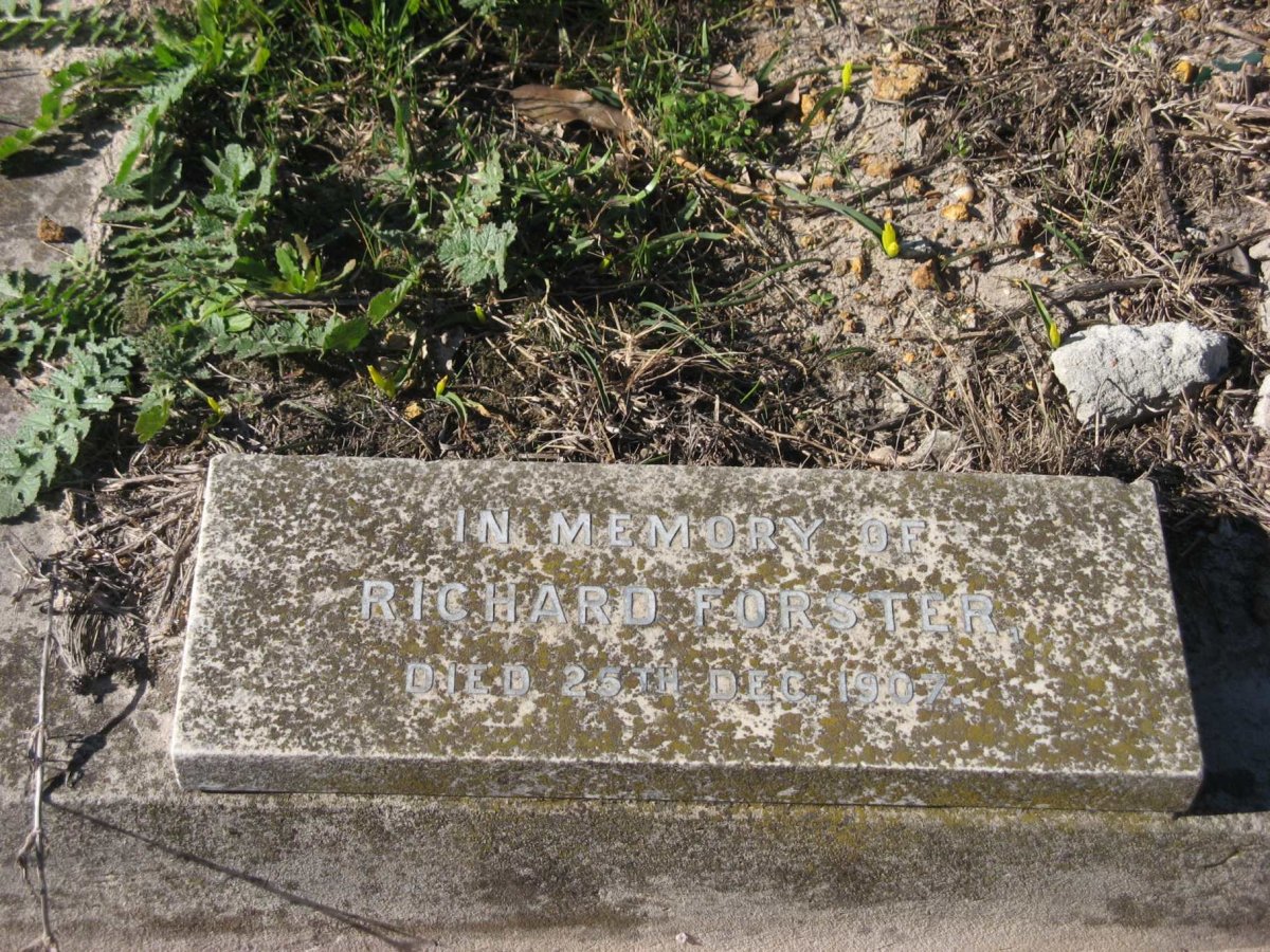 FORSTER Richard -1907