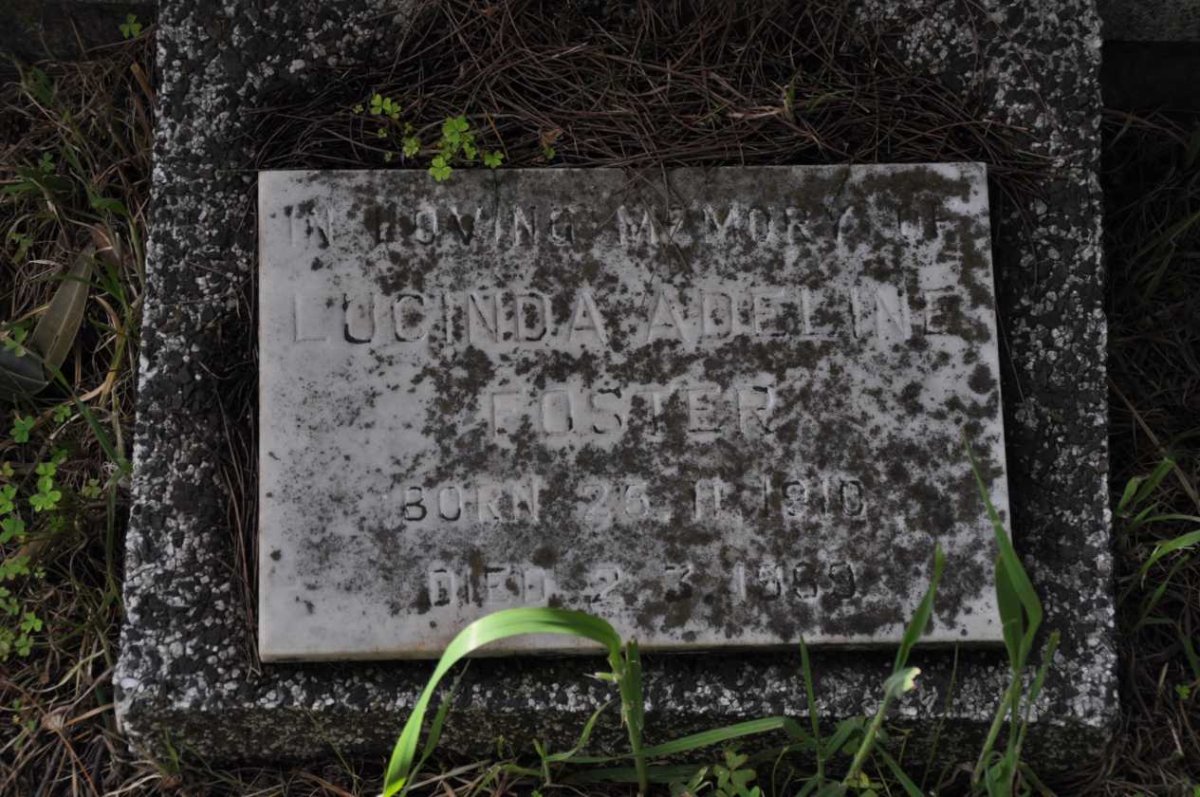 FOSTER William Charles 1880-1956 &amp; Margaret Letitia McCALDIN 18?0-1950